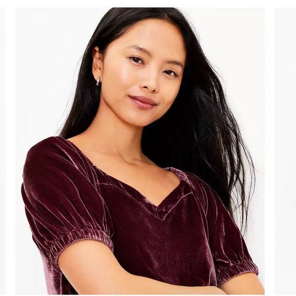 Velvet puff sleeve LOFT top - Picture 2 of 9